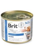 Brit VD Dog & Cat GF Recovery 200 g