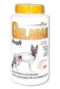 Gelacan Plus Profi 1000 g