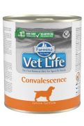 Vet Life Natural Dog konz. Convalescence 300 g