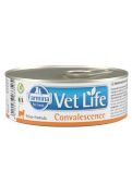 Vet Life Natural Cat konz. Convalescence 85 g