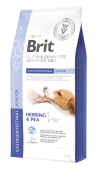 Brit VD Dog GF Gastrointestinal Junior 6kg