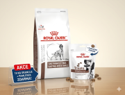 Royal Canin VHN Dog Gastrointestinal 15 kg + Gastrointestinal Treats 230 g
