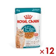 Royal Canin FHN Cat Ageing 15+ 12 x 85 g
