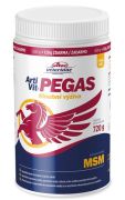 Artivit Pegas MSM plv. 720 g 