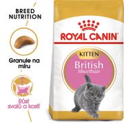 Royal Canin British Shorthair Kitten granule pro britská krátkosrstá koťata 400 g