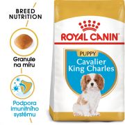 Royal Canin Cavalier King Charles Puppy granule pro štěně kavalír king charles španěl 1.5 Kg