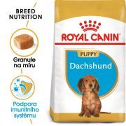Royal Canin Dachshund Puppy granule pro štěně jezevčíka 1.5 Kg