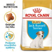 Royal Canin Jack Russell Puppy granule pro štěně jack russell teriéra 1.5 Kg