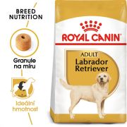 Royal Canin Labrador Adult granule pro dospělého labradora 3 Kg