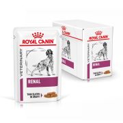 Royal Canin VHN Renal 12 x 100 g
