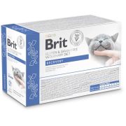 Brit Grain & Gluten-Free VD Cat Pouch fillets in Gravy Recovery 12x 85 g