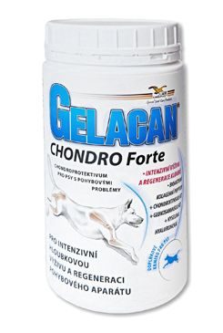 Gelacan Chondro Forte 500g