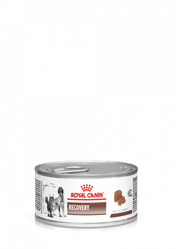 Royal Canin VHN Recovery Konzerva 195 g