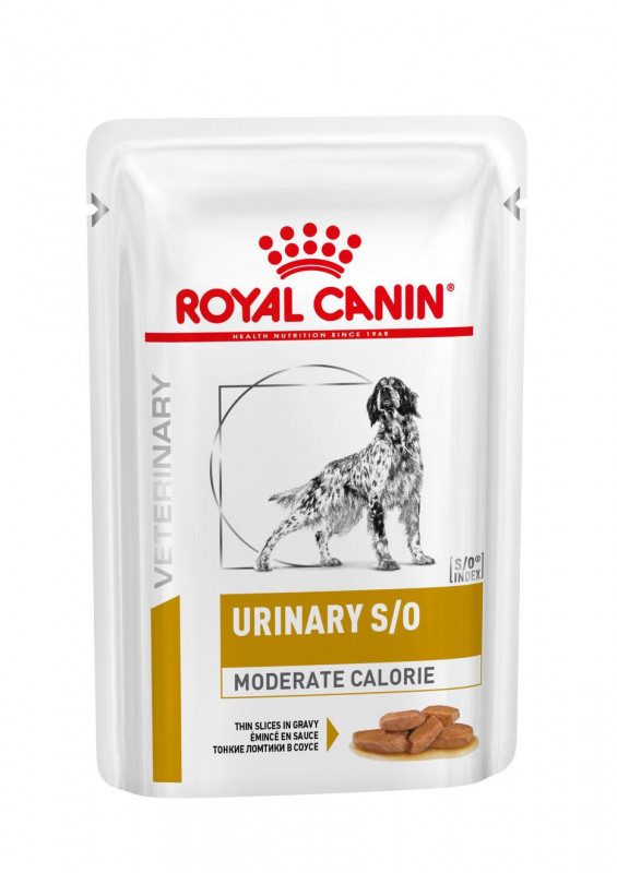 Royal Canin Veterinary Health Nutrition Dog Urinary S/O Moderate Calorie in Gravy 12 x 100 g