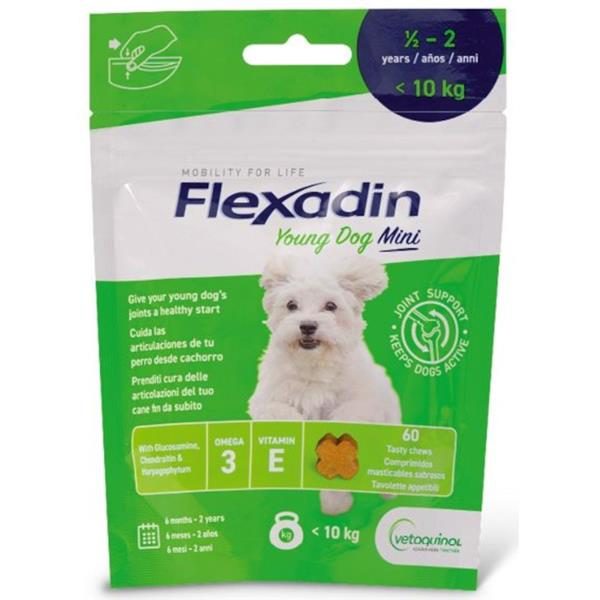 Flexadin Young Dog Mini žvýkací 60tbl 