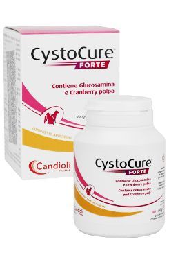 Cystocure forte 30tbl
