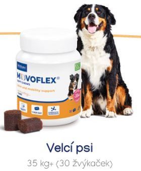 Movoflex Soft Chews L