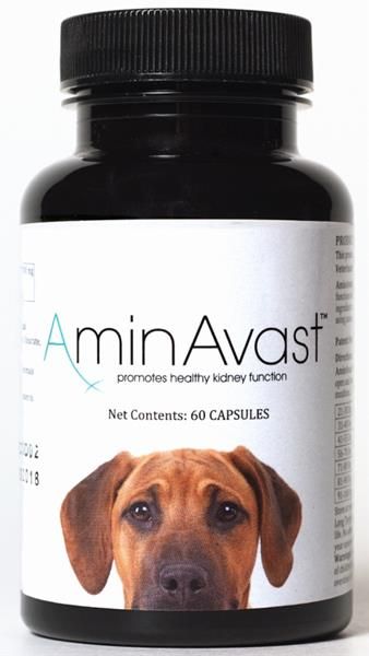 AminAvast Dog 60 cps