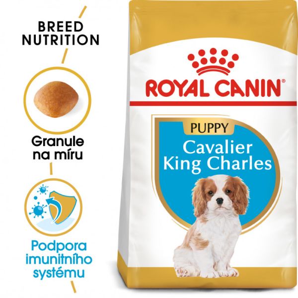 Royal Canin Cavalier King Charles Puppy granule pro štěně kavalír king charles španěl 1.5 Kg