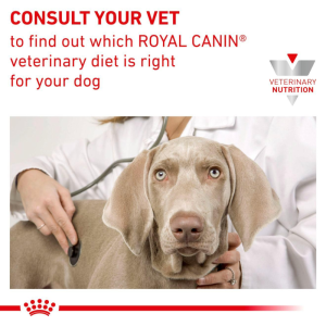 Royal Canin  8 Kg