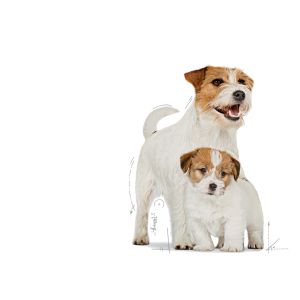 Royal Canin Mini Starter Mother&Babydog granule pro březí a kojící feny a štěňata - 8 kg