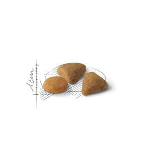 Royal Canin Savour Exigent granule pro mlsné dospělé kočky - 10 kg