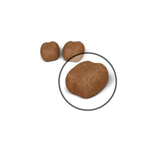 Royal Canin Dental Care granule pro dospělé kočky snižující tvorbu zubního kamene - 4 kg