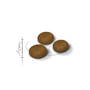 Royal Canin Fussy granule pro velmi vybíravé dospělé kočky - 4 kg