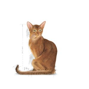 Royal Canin Savour Exigent granule pro mlsné dospělé kočky - 10 kg