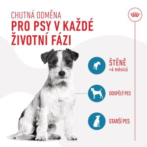 Royal Canin Training Treat Dog 8x110g