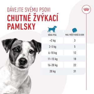 Royal Canin Training Treat Dog 8x110g