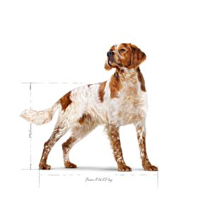Royal Canin Medium Adult granule pro dospělé psy středních plemen starší 12 měsíců - 15 kg
