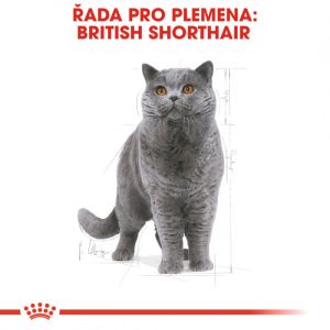 Royal Canin British Shorthair Adult granule pro britské krátkosrsté kočky 400 g