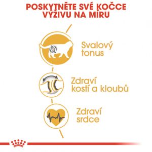Royal Canin British Shorthair Adult granule pro britské krátkosrsté kočky 400 g