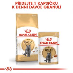 Royal Canin British Shorthair Adult granule pro britské krátkosrsté kočky 400 g