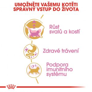 Royal Canin British Shorthair Kitten granule pro britská krátkosrstá koťata 400 g
