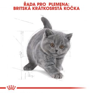 Royal Canin British Shorthair Kitten granule pro britská krátkosrstá koťata 400 g