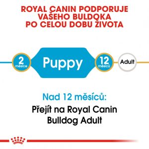 Royal Canin Bulldog Puppy granule pro štěně buldoka 12 Kg