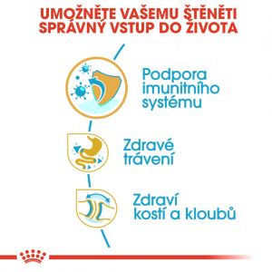 Royal Canin Bulldog Puppy granule pro štěně buldoka 12 Kg