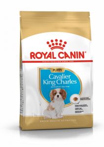 Royal Canin Cavalier King Charles Puppy granule pro štěně kavalír king charles španěl 1.5 Kg