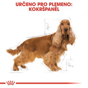 Royal Canin Cocker Adult granule pro dospělého kokršpaněla 3 Kg