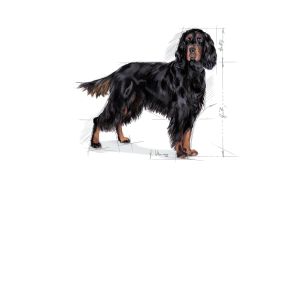 Royal Canin Maxi Sterilised granule pro dospělé kastrované psy velkých plemen - 12 kg