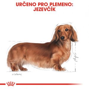 Royal Canin Dachshund Adult granule pro dospělého jezevčíka 7.5 Kg