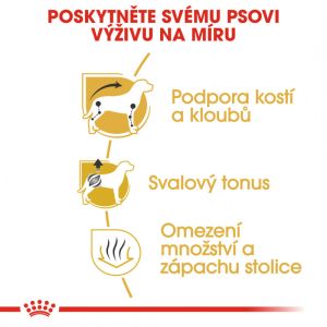 Royal Canin Dachshund Adult granule pro dospělého jezevčíka 7.5 Kg
