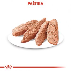 Royal Canin Digestive Care Dog Loaf kapsička s paštikou pro psy s citlivým trávením 85 g