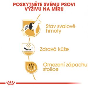Royal Canin French Bulldog Adult granule pro dospělého francouzského buldočka 1.5 Kg
