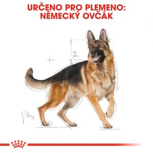 Royal Canin German Shepherd Adult granule pro dospělého německého ovčáka 11 Kg