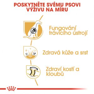 Royal Canin German Shepherd Adult granule pro dospělého německého ovčáka 11 Kg