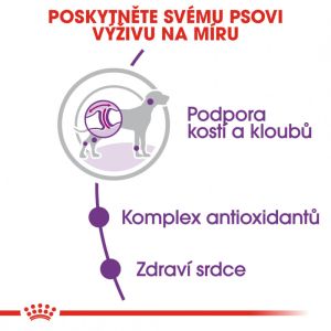 Royal Canin Giant Adult granule pro dospělé obří psy 15 Kg