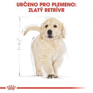 Royal Canin Golden Retriever Puppy granule pro štěně zlatého retrívra 12 Kg
